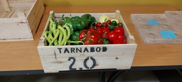Tarnabod 2.0 feliratú faláda friss paprikával és paradicsommal